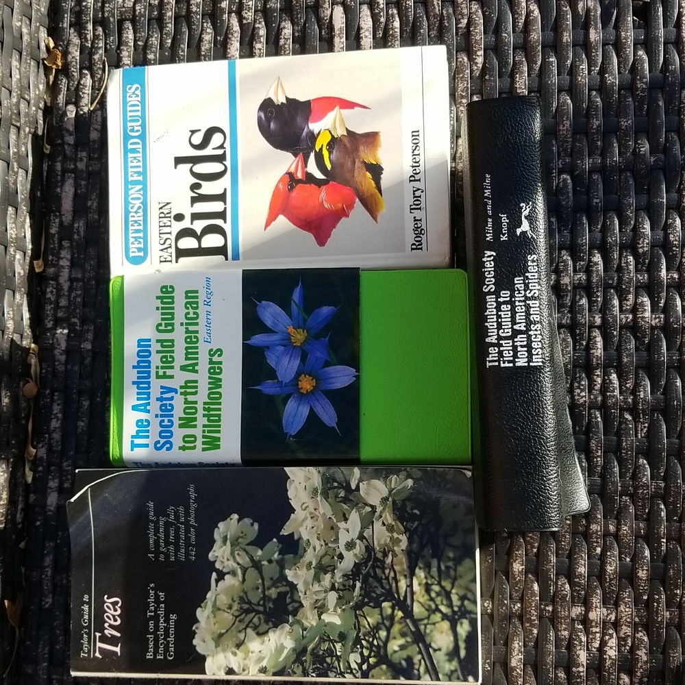 Audubon Guides to Wildflowers, Insects, Spiders, Peterson Birds, Taylor's Trees!